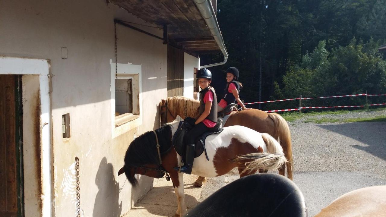 Ferienwohnung Moitz Heimschuh Exteriör bild